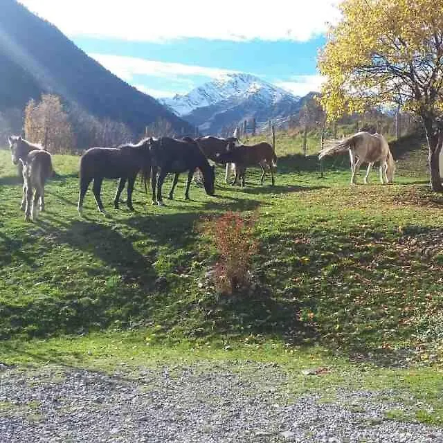 Les Chalets D'Aure. Aragnouet 0*,